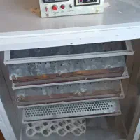 دستگاه جوجه کشی درجه یک 245تای|عمده‌فروشی|بم, |دیوار