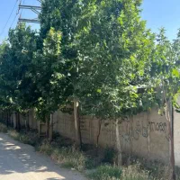 سعیداباد نمکلان ۷۰۰م باغچه سند تک برگ تهراندشت