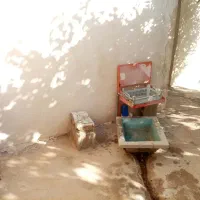 زمین و باغ کشاورزی