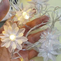 ریسه ال ای دی گلدار|ریسه و چراغ تزئینی|قم, باغ شریفی|دیوار