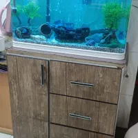 آکواریوم با ماهی شیشه خم