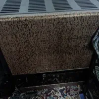 بخاری بزرگ سالم