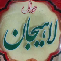ریبال لاهیجان
