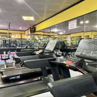 باشگاه بانوان فرهنگ شهر