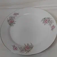پلوخوری چینی سالم دستی ۳۰۰