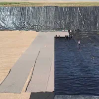 اجرای استخر کشاورزی و پرورش ماهی ژئوممبران|خدمات پیشه و مهارت|ملایر, |دیوار