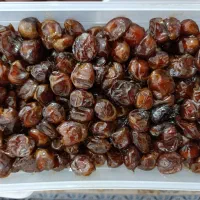 خرما با قیمت مناسب و کیفیت عالی|خوردنی و آشامیدنی|بندرعباس, |دیوار