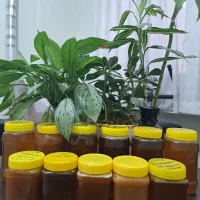عسل طبیعی و گرده گل