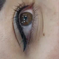 تخفیفات پنجاه درصدی میکروبلیدینگ آرایش دائم|خدمات آرایشگری و زیبایی|سنندج, |دیوار