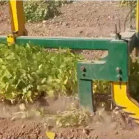 یک عدد دستگاه لوبیا چین شرکت ققنوس. نو