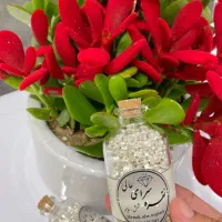 شمش و ساچمه نقره