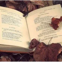 تدریس ادبیات