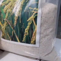 نیاز به سرمایه برای شراکت در فروش برنج