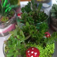 انواع گل طبیعی|گل و گیاه طبیعی|اصفهان, دنارت|دیوار