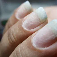 خدمات کاشت ناخن ،لیفت و لمینت و اکستنشن مژه|خدمات آرایشگری و زیبایی|اردکان, |دیوار