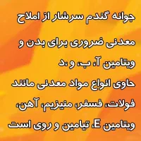 پودر جوانه ی گندم|آرایشی، بهداشتی، درمانی|سلماس, |دیوار