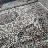 قالی نو|فرش|نوشهر, |دیوار