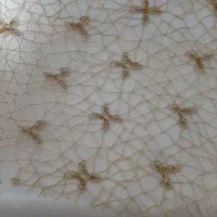 پارچه لباس مجلسی