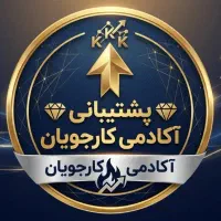 استخدام ادمین پاسخگویی دایرکت و تلگرام