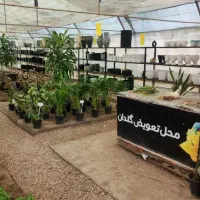 کارگر ساده ۱۵ تا ۲۰سال با جای خواب