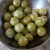 آلوچه برای لواشک
