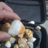 سنگ|کلکسیون اشیاء عتیقه|خمین, |دیوار