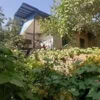 سوئیت-الموت-شمس-کلایه