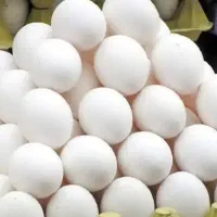 تخم مرغ