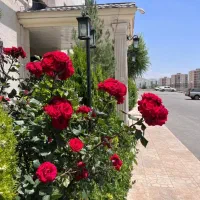 فاز۱۱پردیس زون ۱ فول للکچری با کاغذ دیواری تخلیه