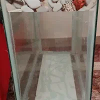 لوازم ماهی|ماهی|قم, پردیسان|دیوار