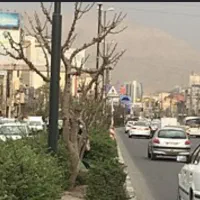 تجاری-بحر-بهشتی-مغازه-سالن