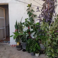 خانه ویلایی..قشلاق ملارد|فروش خانه و ویلا|ملارد, |دیوار