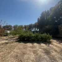 ۲۶۰۰متر زمین/سند تکبرگ/چهاردیواری|فروش زمین و ملک کلنگی|محمدشهر, عباس آباد|دیوار