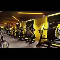 آنالیز بدن