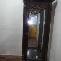 ویتر ین خانگی