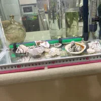 آکواریوم|ماهی|سبزوار, فرهنگیان|دیوار