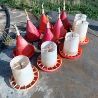 دانخوری و آبخوری