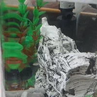 آکواریم شیشه خم ۷۰۰ با لوازم