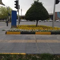 اجاره ویلایی