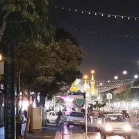 داوطلبانه