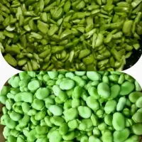 باقلا آماده