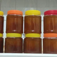 عسل عمدە و خردە|حراج|بانه, |دیوار