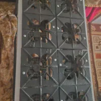 لوازم فست فود