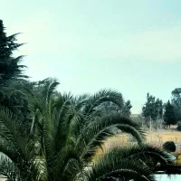 اجاره-آپارتمان-120متری-2-خواب-دهکده-ساحلی-انزلی