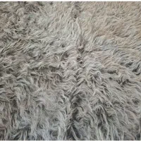 فرش ماشینی فانتزی|فرش|مشهد, هنرستان|دیوار