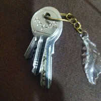 یک دسته کلید گم شده تو تاکسی یا جای دیگه پیام بدید