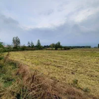 2هکتار زمین چسبه ساخت/سنددار/حومه نور