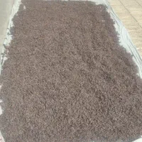 کشمش انگور مهدی خانی و شیره انگور