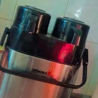 فلاکس دوقلو سالم