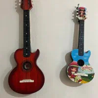 دو عدد گیتار